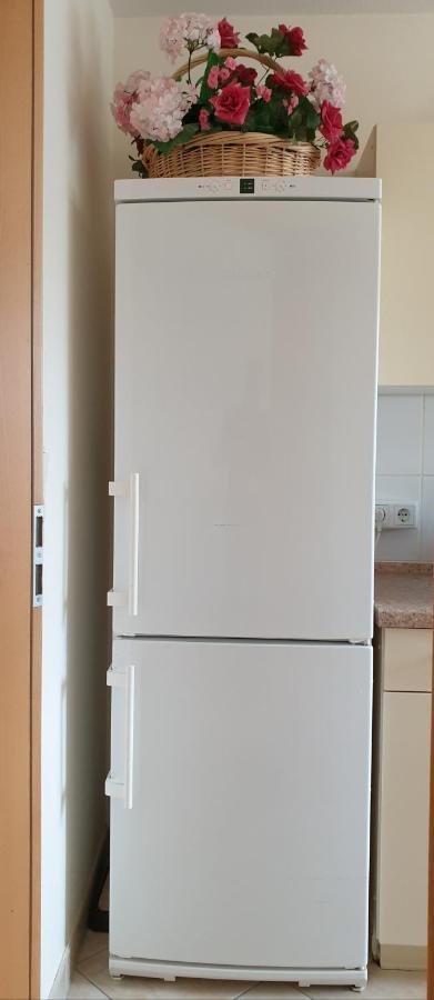 Ferienwohnung Maria - Bad Kissingen Zewnętrze zdjęcie